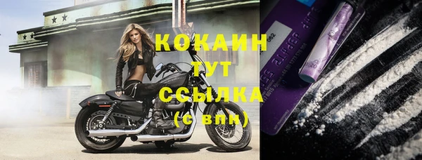 мдпв Вязники