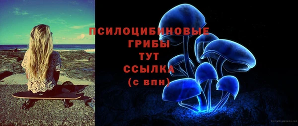 PSILOCYBIN Волосово