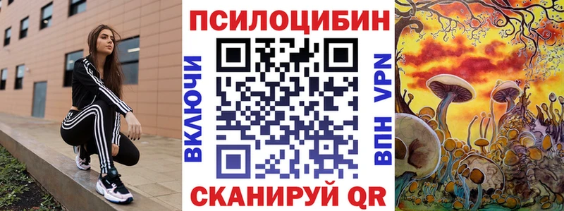 Псилоцибиновые грибы GOLDEN TEACHER  Купить где  Новомичуринск 