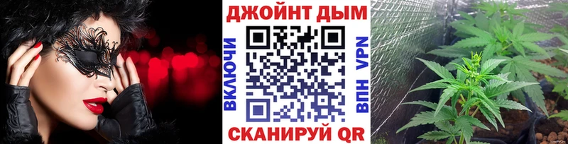 Бошки марихуана семена  Купить где  Новомичуринск 